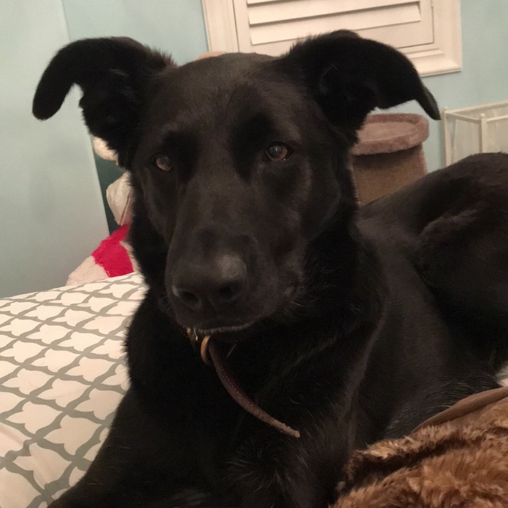 Meet your Posher, Kensi